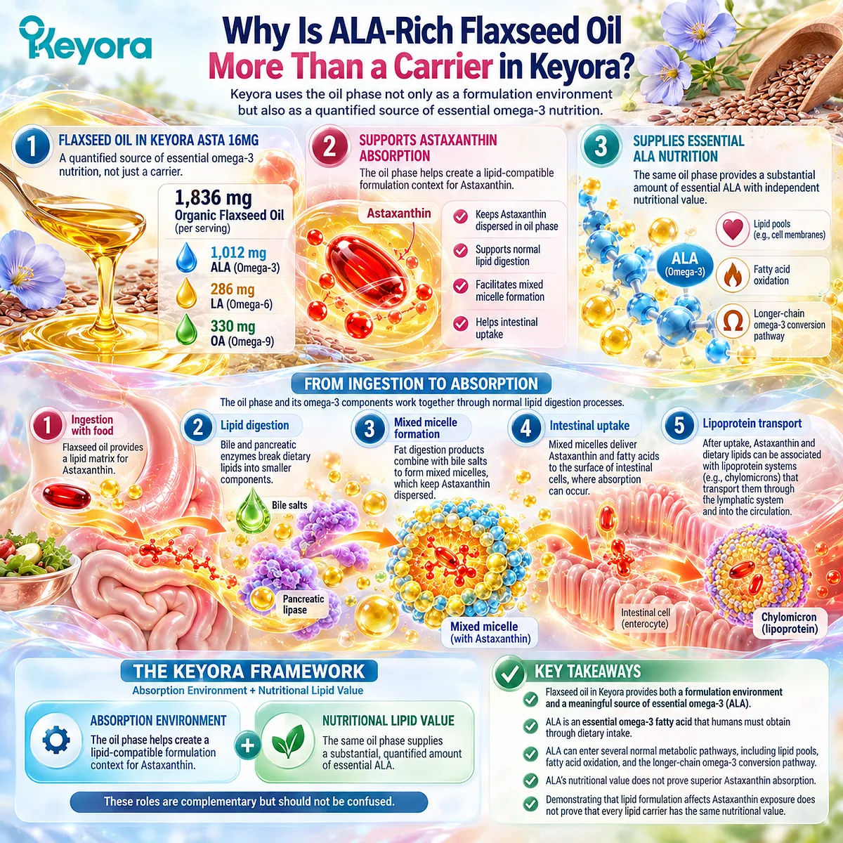 ALA-rich flaxseed oil supports astaxanthin’s lipid environment while supplying essential omega-3 nutrition in the Keyora Absorption Environment + Nutritional Lipid Value Framework. ALA-rich flaxseed oil supports astaxanthin’s lipid environment while supplying essential omega-3 nutrition in the Keyora Absorption Environment + Nutritional Lipid Value Framework.