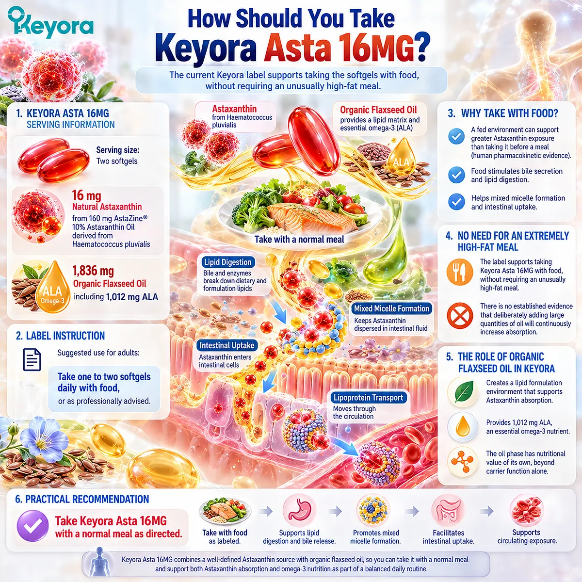 Astaxanthin absorption with food supports bile, micelle formation and intestinal uptake; Keyora Asta 16MG pairs 16 mg astaxanthin with an ALA-rich flaxseed-oil matrix. Astaxanthin absorption with food supports bile, micelle formation and intestinal uptake; Keyora Asta 16MG pairs 16 mg astaxanthin with an ALA-rich flaxseed-oil matrix.